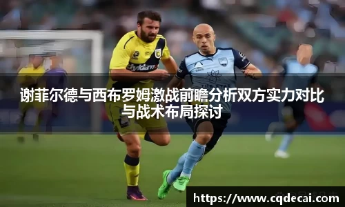 谢菲尔德与西布罗姆激战前瞻分析双方实力对比与战术布局探讨